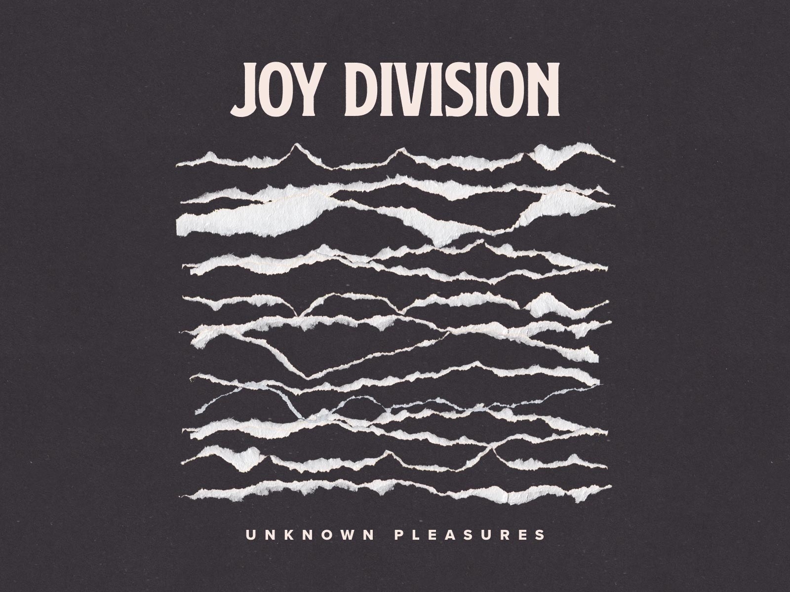 Joy Division Official Merchandise | DARKSTAR SHOP