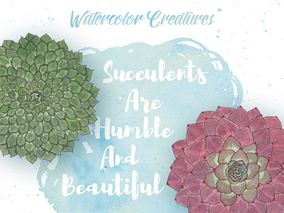 The Watercolor Creatures: Succulents clipart hand drawn illustrator vector watercolor