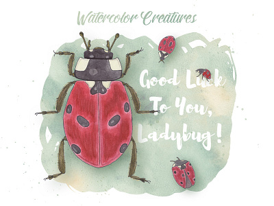 The Watercolor Creatures: Ladybug clipart hand drawn illustrator vector watercolor
