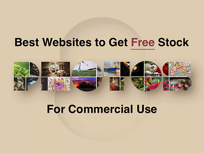 8 Best Websites to Get Free Stock Photos for Commercial Use blog burst death to stock food photos free freebie moose photo pixabay stock photos unsplash vintage