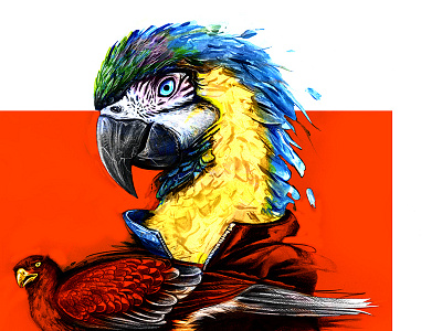 Untitled Illustration abstract art digital graffiti illustration paint parrot pencil photoshop traditional urban vibrant