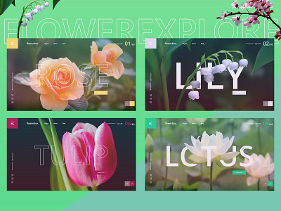 Flower-Explore-Landing Page