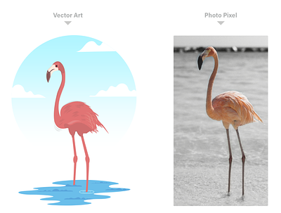 Vector art Flamingo Bird branding design illustration illustrator logo outline icon outline illustration typography ui vector