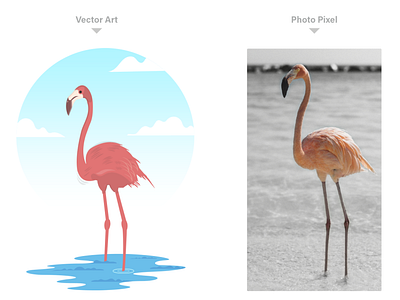 Vector art Flamingo Bird