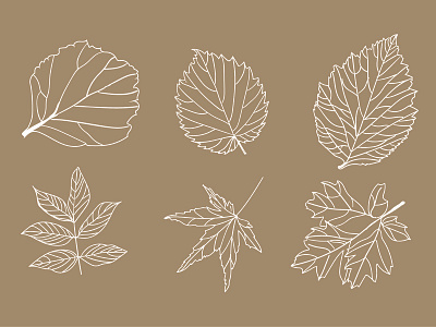 Autumn leafs autumn draw eco illustration leaf leafs line art vector