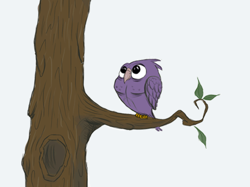 Owl take 2danimation animal animation animation 2d cel character character design cute illustration illustrator ipadpro loop motion graphics procreate