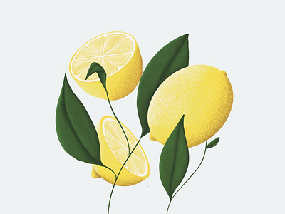 Lemons illustration lemons procreate