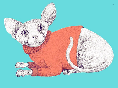 Sweater weather cat color digital dots funky illustration sphynx sweather