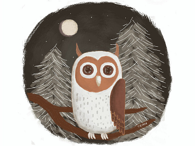 Owl at night bird brown design illustration kid art moon night owl illustration trees warm colors winter