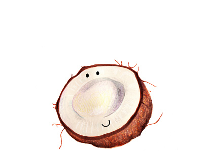 coconut illustration