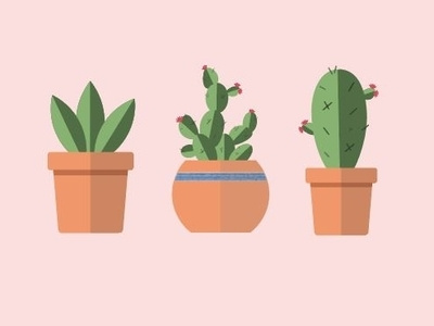 Flat Design Potted Cacti adobeillustrator cacti flatdesign illustration practice succulents