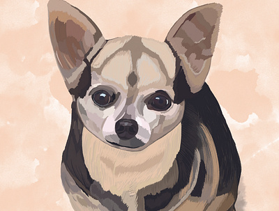 Chihuahua "Coco" art chihuahua design digitalart dog illustration illustration art pet procreate