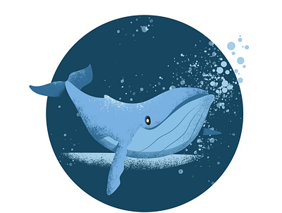 Whale bubbles design illustration photoshop sea whale