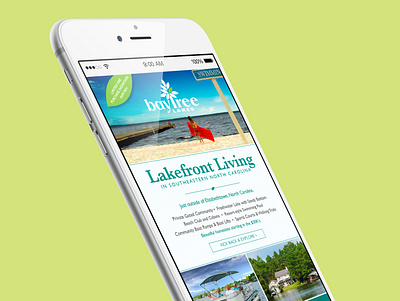Bay Tree Lakes Email branding design email email design graphic design typography