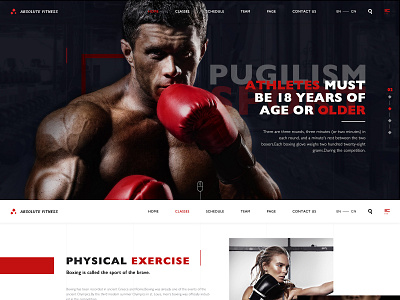 Fitness Website