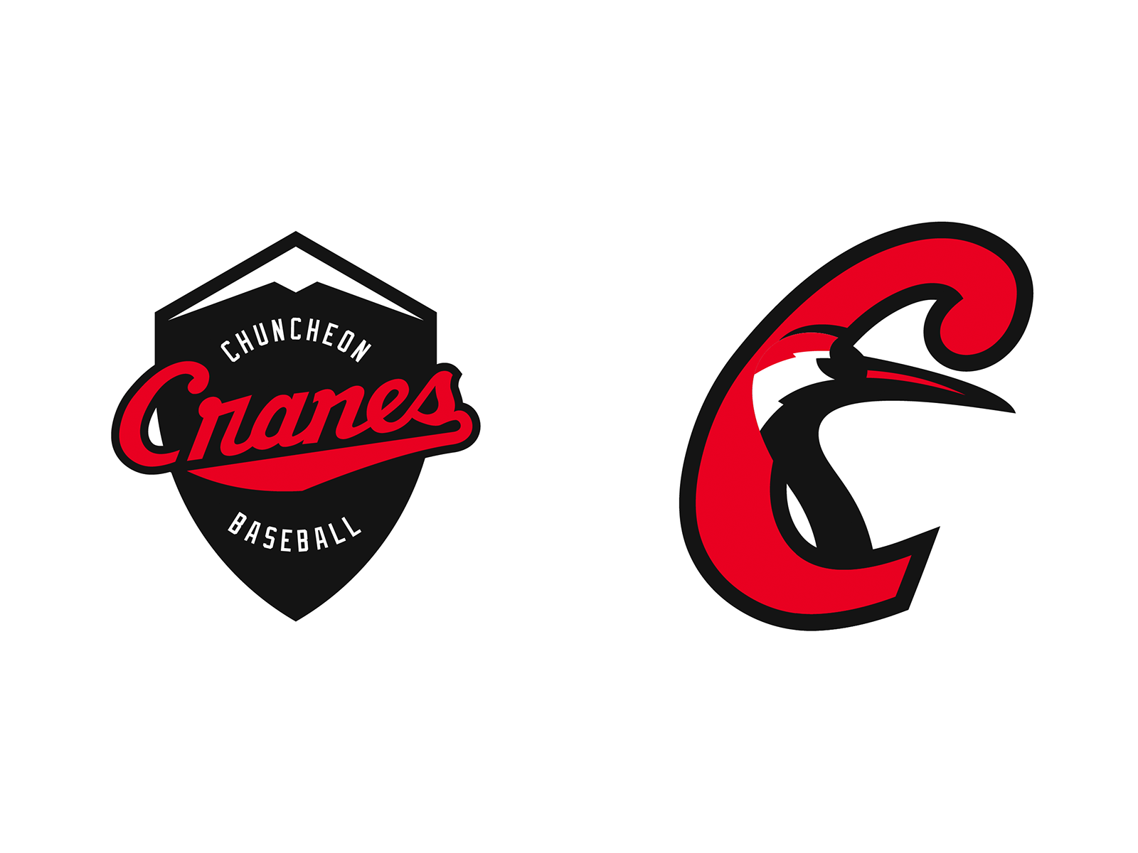 Charlotte Dukes MLB Expansion by Michael Danger on Dribbble