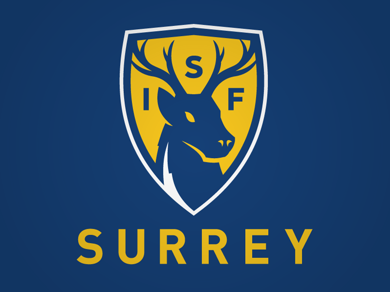 International Surrey Football by Michael Danger on Dribbble