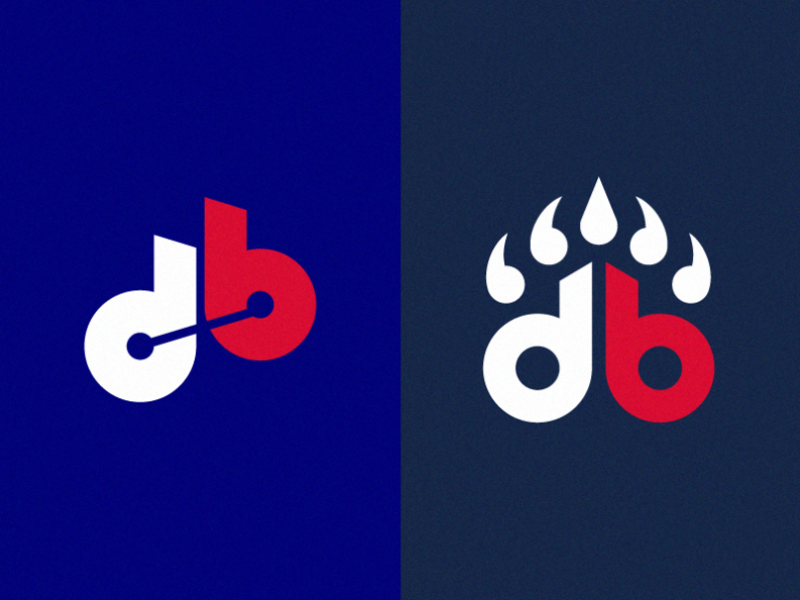 Denver Bears Brand Identity Proposal on Behance