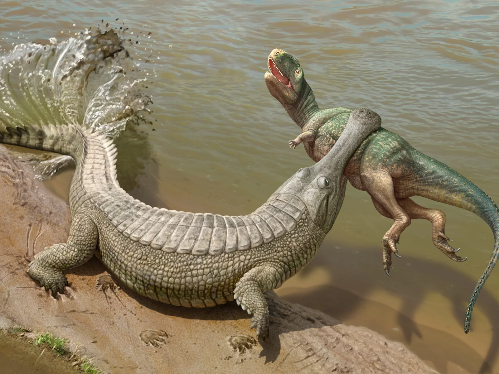 Вымерший пресмыкающиеся больших размеров. Крокодил Император Саркозух. Древние крокодилы Саркозух. Доисторический крокодил Саркозух. Императорский крокодил Саркозух.