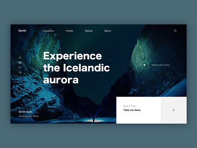 Iceland's natural nature ui deisgn ux designer web ad web design website