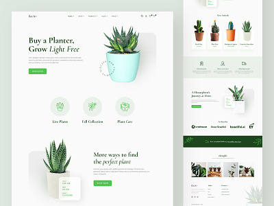 Plant Shop Landing Page branding garden green homepage landing page plant shop trendy design ui design website