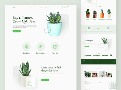 Plant Shop Landing Page