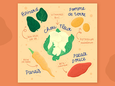FEBUARY: Seasonal produce guide 3/4 artwork callendar digital art digital painting eat food food illustration illustration season vegetable veggie