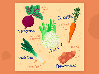FEBUARY: Seasonal produce guide 2/4 artwork callendar digital art digital painting eat food food illustration healty illustration vegetable veggie