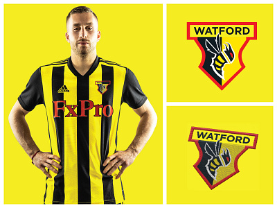 WATFORD FC LOGO