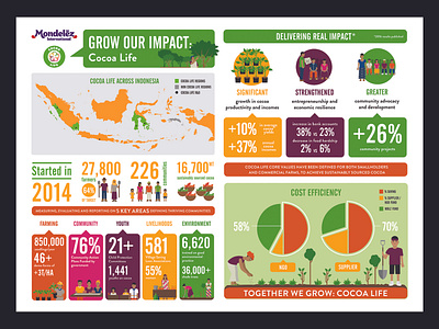 Cocoa Life Infographic data visualisation design illustration info graphic vector