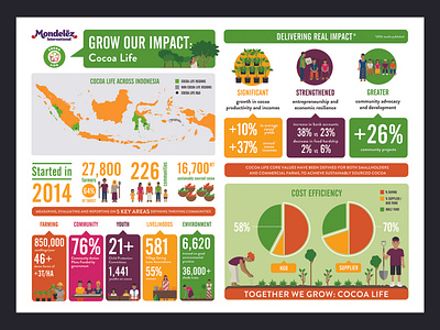 Cocoa Life Infographic