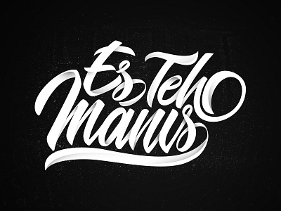Es Teh Manis branding brush calligraphy calligraphy design font graffiti hand lettering handwriting handwritten illustration lettering logo logotype script type typeface typography