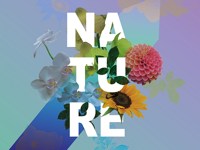 Nature design illustration photography typography