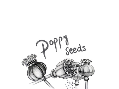 Poppy seeds