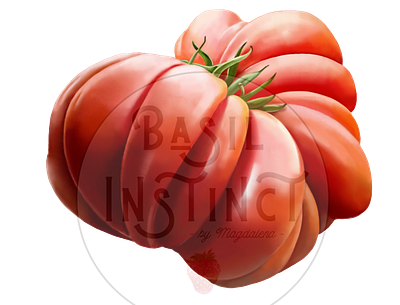 Santorini Tomato food illustration food illustrator greece greek food greek vegetables santorini santorini vegetables tomato tomato art tomato painting tomatoes vegetable illustration vegetable painting