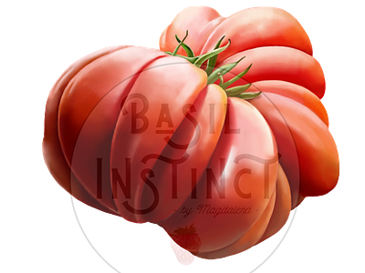 Santorini Tomato food illustration food illustrator greece greek food greek vegetables santorini santorini vegetables tomato tomato art tomato painting tomatoes vegetable illustration vegetable painting