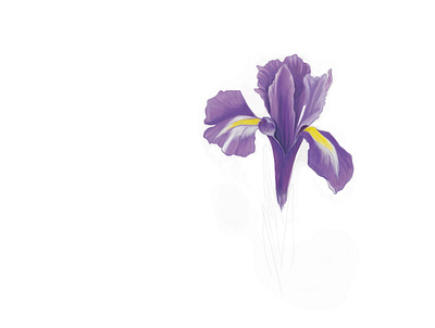 Iris art digital painting flower purple sketch spring