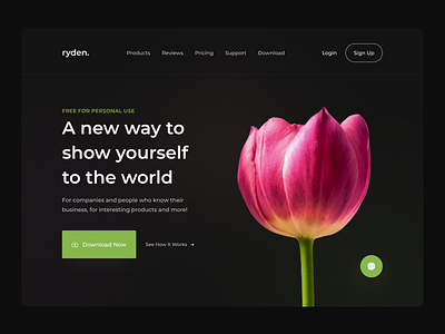 Landing Page for Ryden.