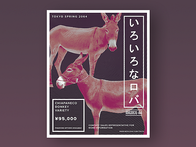 Mexico 44 | Donkey Poster branding donkey japanese poster thesis