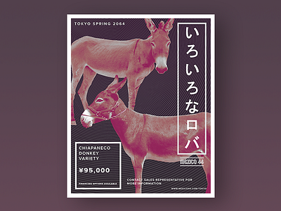 Mexico 44 | Donkey Poster