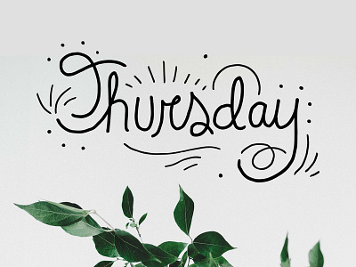 An Animation A Day after effects animation hand drawn type hand drawn typography thursday typography