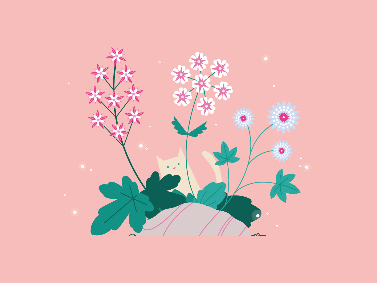 Kitty and flowers cat cat illustration flat flat design flower flowers flowers illustration girl illustration kitty vector