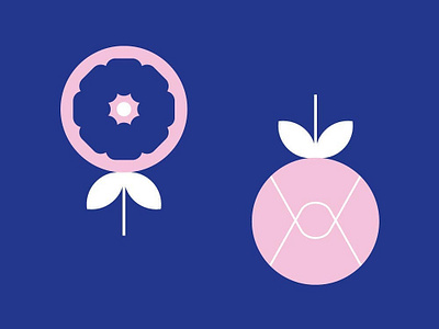 Flowers & fruits basic design flower icon icon design illustration vector