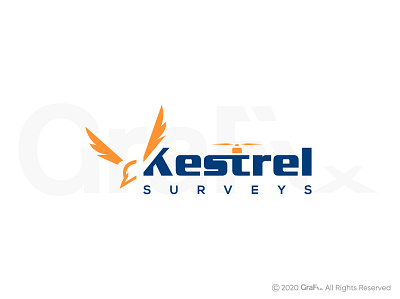 kestral surveys logo bird logo drone logo eagle logo media logo video logo