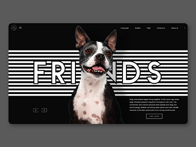 Dogs THE BEST FRIEND -UI branding design icon lettering mohit nagar motivation typography ui ui ux web design concept ux