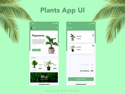 Plants App UI app branding design design app freelance designer mohit nagar motivation typography ui ui ux web design concept ux