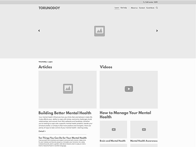 Mental health service Website wireframe