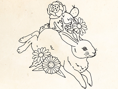 Jackalope Tattoo bunny cactus flowers jackalope jackrabbit line drawing rabbit tattoo