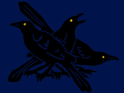 Grackles