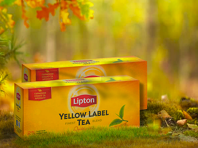 lipton haze 2019 ad advertisement autumn autumn forest forest lipton october september tea tea bag tea cup tea logo yellow yellow leaves yellow logo yellows